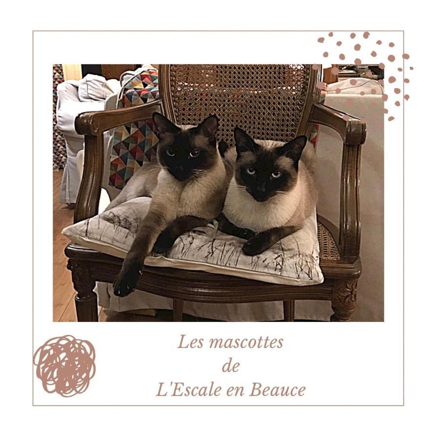 L Escale En Beauce Bed & Breakfast Maisons  Eksteriør bilde